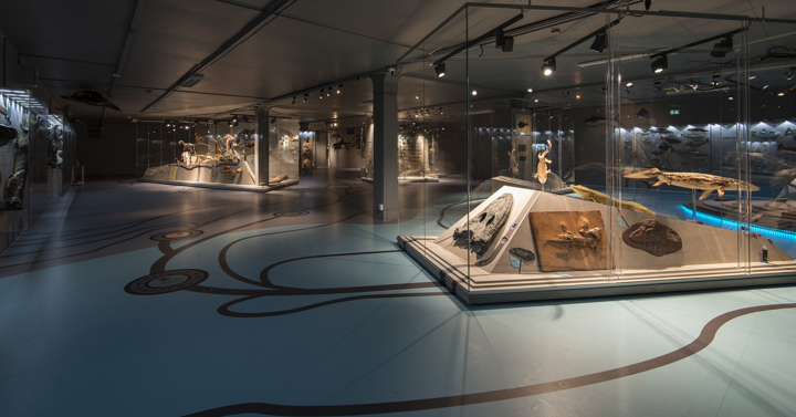 Utstillingsmontere til Naturhistorisk museum levert av Plexon